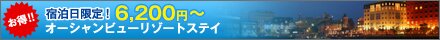 �h��������I�u6,300�~�`�v�I�[�V�����r���[���]�[�g�X�e�C